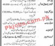National Logistics Cell (NLC) Announced Latest PK Jobs 2021