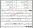 National Logistics Cell (nlc) Announced Management & Security Pk Jobs