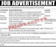 National NGO Announced Latest Management PK Jobs 2021