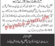National Police Foundation Management PK Jobs 2021