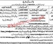 National Rural Support Program (nrsp) Upap Ngo Management Pk Jobs