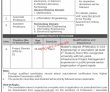 National Skill University Faculty & Management PK Jobs 2021