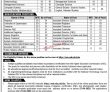 National Skills University jobs 2023