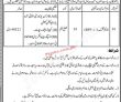Neelum Deputy Commissioner Office Latest In Pakistan Jobs 2022 Advertisement