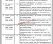 New Govt Jobs Information Technology Board Ajk Jobs 2022