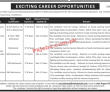 Nishat Group  Jobs 2022 | Nishat Group Emporium Mall Head