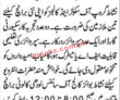 Nishat Group Of Schools & Colleges Management Pk Jobs 2021