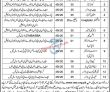 Noble Evaluation Services (NES) Management PK Jobs 2021