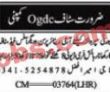 Ogdc Oil Company latest Jobs 2023