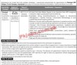 Opf jobs 2022 | Overseas Pakistanis Foundation Opf Headquarters Announced Latest
