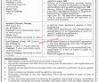 Opf Pk Jobs 2021 | Overseas Pakistanis Foundation Announced Management