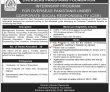 Opf Pk Jobs 2021 | Overseas Pakistanis Foundation Announced Social