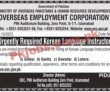 Overseas Employment Corporation Oec jobs 2023