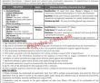 Overseas Pakistanis Foundation Opf Jobs 2023
