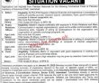 Pac Pk Jobs 2021 | Pakistan Academy Of Sciences Pac