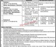 Paec Jobs 2022 | Pakistan Atomic Energy Commission Paec Head