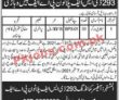 Paf Pk Jobs 2021 | Jobs In Paf | Pakistan