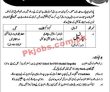 Paf Pk Jobs 2021 | Jobs In Paf | Pakistan