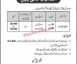 Paras Jobs 2022 | Pakistan Radiation Services Paras Headquarters Announced