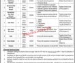 Pbm latest Jobs 2023 | Pakistan Bait Ul Mal jobs 2023