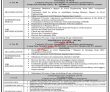 Pcaa Pk Jobs 2021 | Pakistan Civil Aviation Authority Pcaa