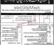 Pcg Jobs 2022 | Pakistan Coast Guard Pcg Headquarters Announced