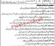 Pdma Jobs 2022 | Provincial Disaster Management Authority Pdma Headquarters