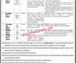 Pec Jobs 2023 | Pakistan Engineering Council Headquarters Announced Latest Recruitments