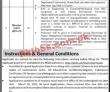 PEDO Energy Development Organization PK Jobs 2021