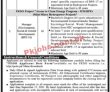 Pedo Pk Jobs 2021 | Energy Development Organization Announced Latest