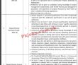 Pedo Pk Jobs 2021 | Pedo Energy Development Organization Announced