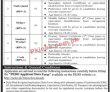 Pedo Pk Jobs 2021 | Pedo Energy Development Organization Head