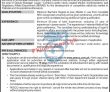 Pesco Jobs 2022 | Pesco Electric Power Supply Company Head