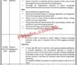 Phcip Jobs 2022 | Provincial Human Capital Investment Project Phcip