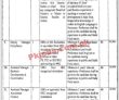 Phda Jobs 2022 | Provincial Halal Development Agency Phda Headquarters
