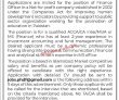 Phdf Jobs 2022 | Pakistan Human Development Fund Phdf Head
