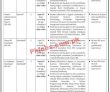 Pia latest It Department Jobs 2023 | Pakistan International Airlines Jobs 2023