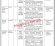 Pia Latest jobs 2023 | Pakitsan International Airlines Jobs 2023