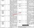 Pic Jobs 2023 | Punjab Institute Of Cardiology Headquarters Announced Latest