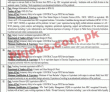 Pifd Pk Jobs 2021 | Pakistan Institute Of Fashion &