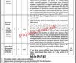 Pitac Pk Jobs 2021 | Ministry Of Industries & Production