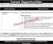 Pmc Jobs 2022 | Pakistan Medical Commission Pmc Head Office