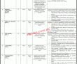 Pmo Jobs 2022 | Prime Minister Office Pmo Head Office