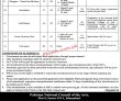 Pnca Jobs 2023 | Pakistan National Council Of The Arts