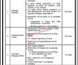 Pnsc Jobs 2022 | Pakistan National Shipping Corporation Pnsc Headquarters