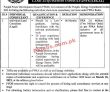 Ppdb Jobs 2022 | Ppdb Power Development Board Headquarters Announced