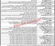 Pphi Jobs 2022 | Primary Public Health Initiative Department Head