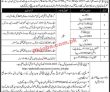 Pphi Sindh jobs 2023 