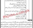Prcl Pk Jobs 2021 | Pakistan Reinsurance Company Limited Prcl