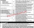 Prsp Jobs 2022 | Prime Recruitment Services Pak Prsp Head